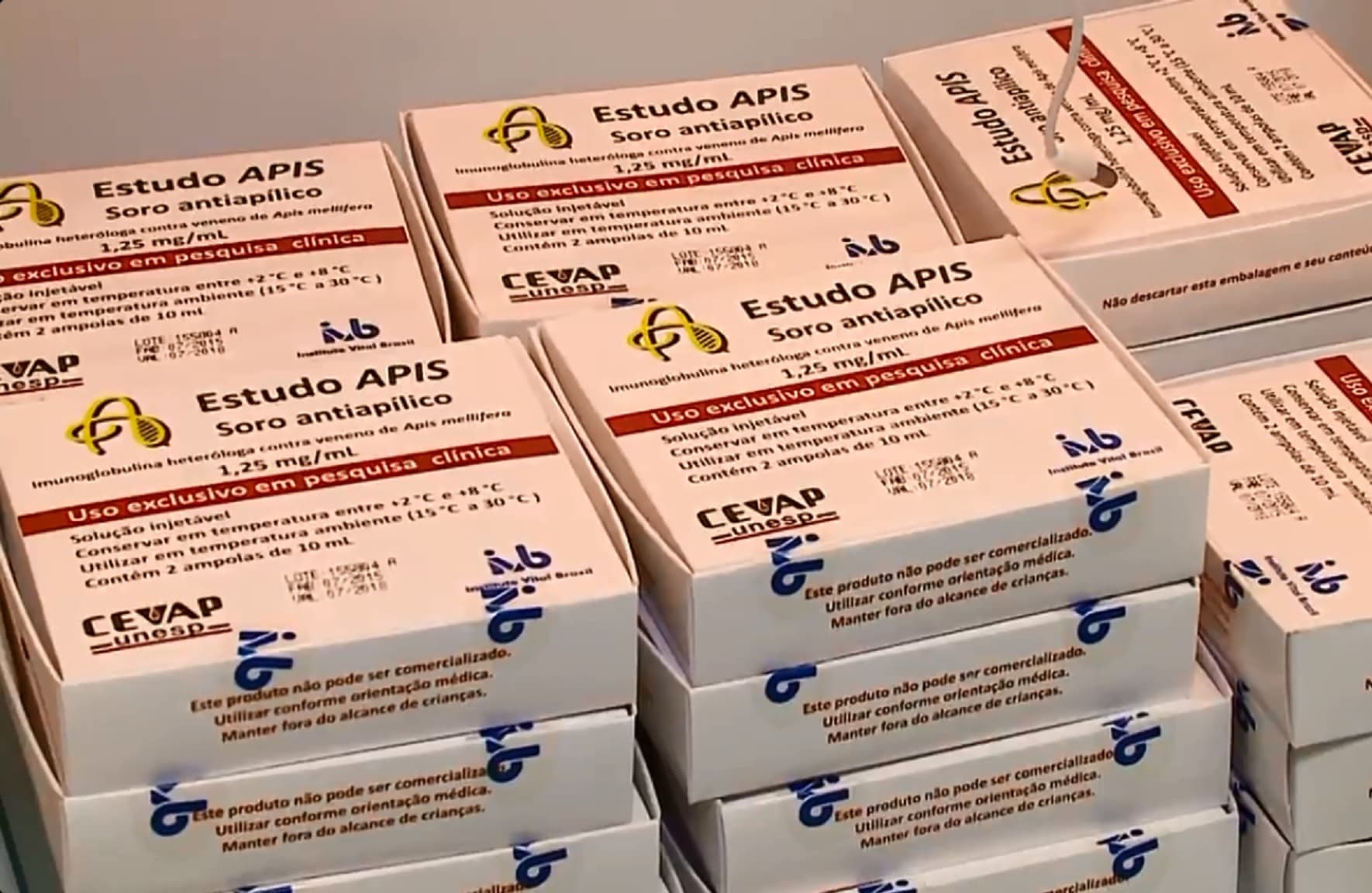 Soro para combater veneno de abelha é testado no HNSC