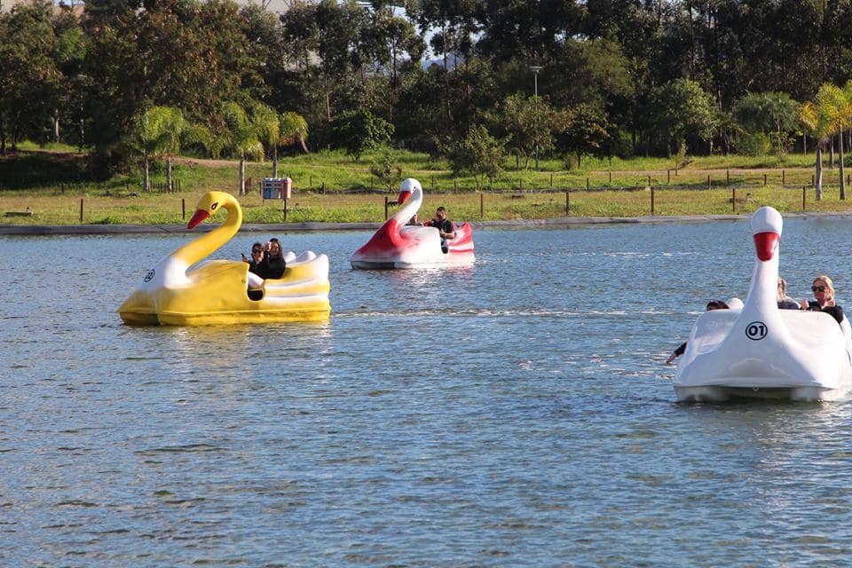 Lago do Parque Ambiental ganha pedalinhos