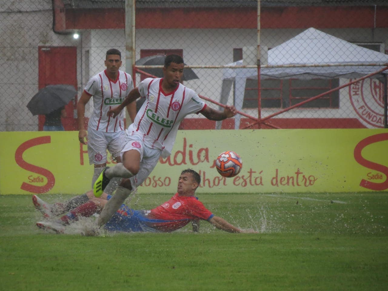 CATARINENSE: Hercílio Luz perde mais uma e China Balbino anuncia saída