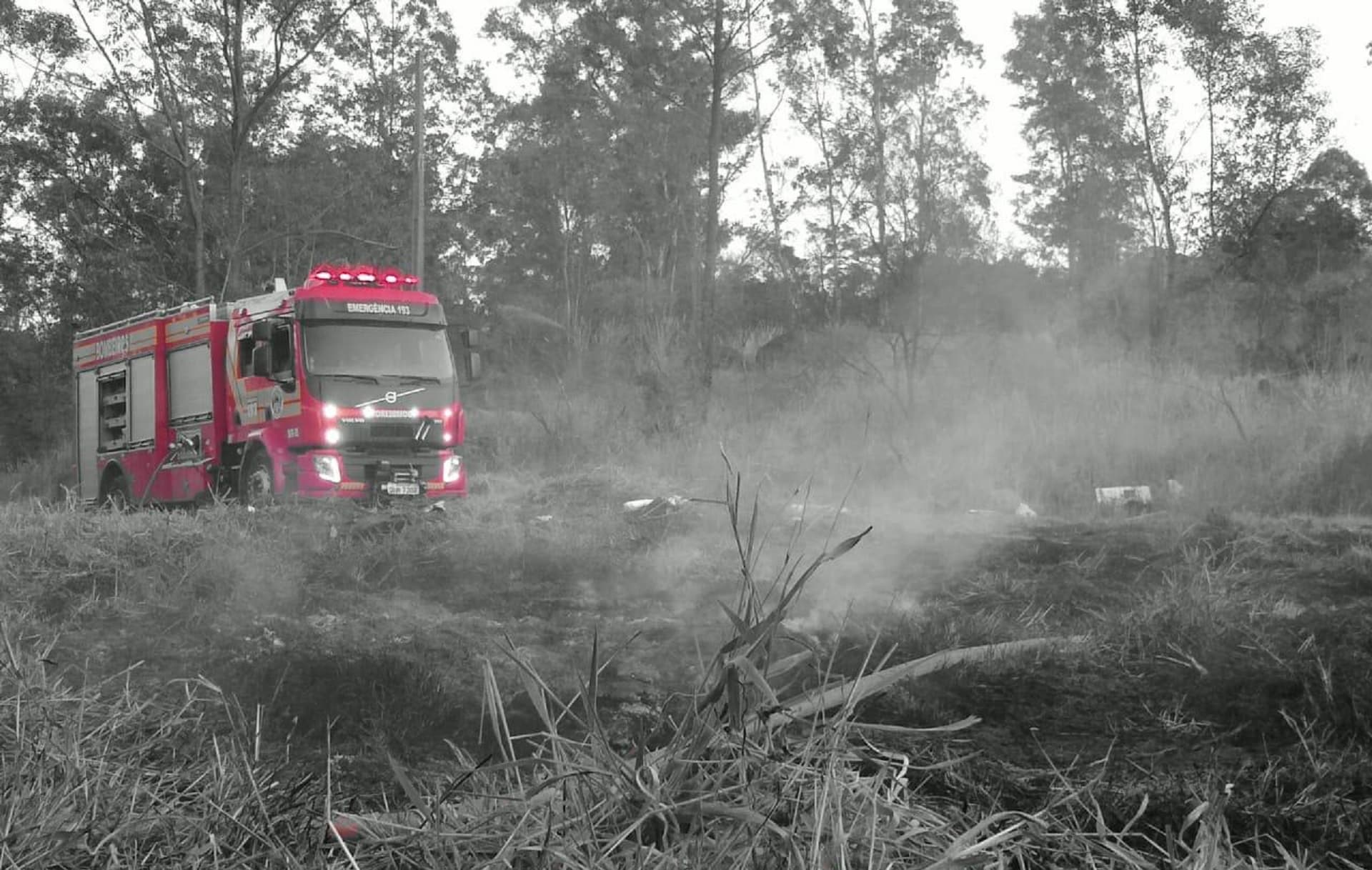 Bombeiros levam mais de cinco horas para combater incêndio em vegetação