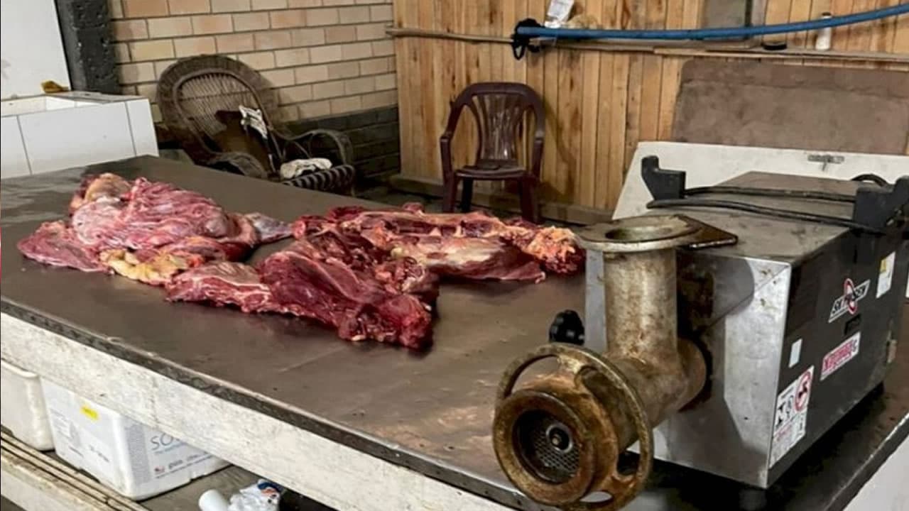 Mercado de Laguna aparece em documento de operação, mas nega compra de carne de cavalo