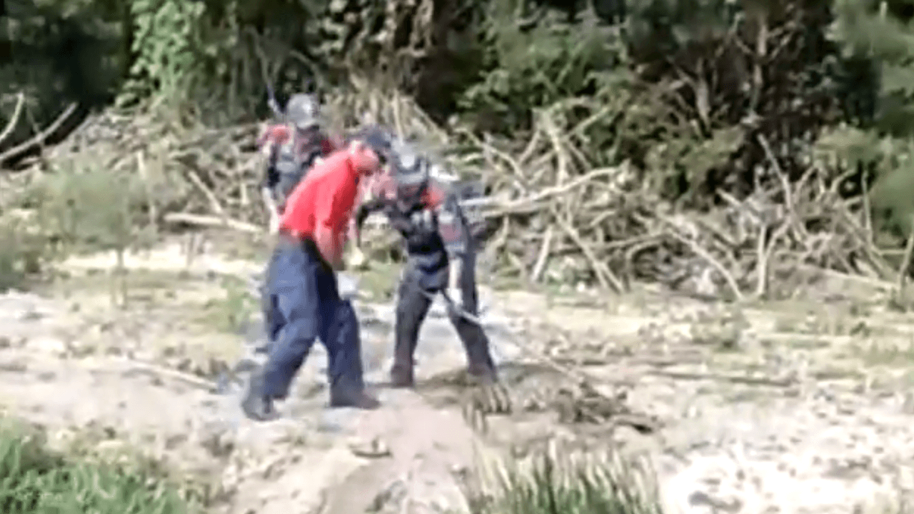 Bombeiros de Laguna socorrem jacaré com anzol preso à boca