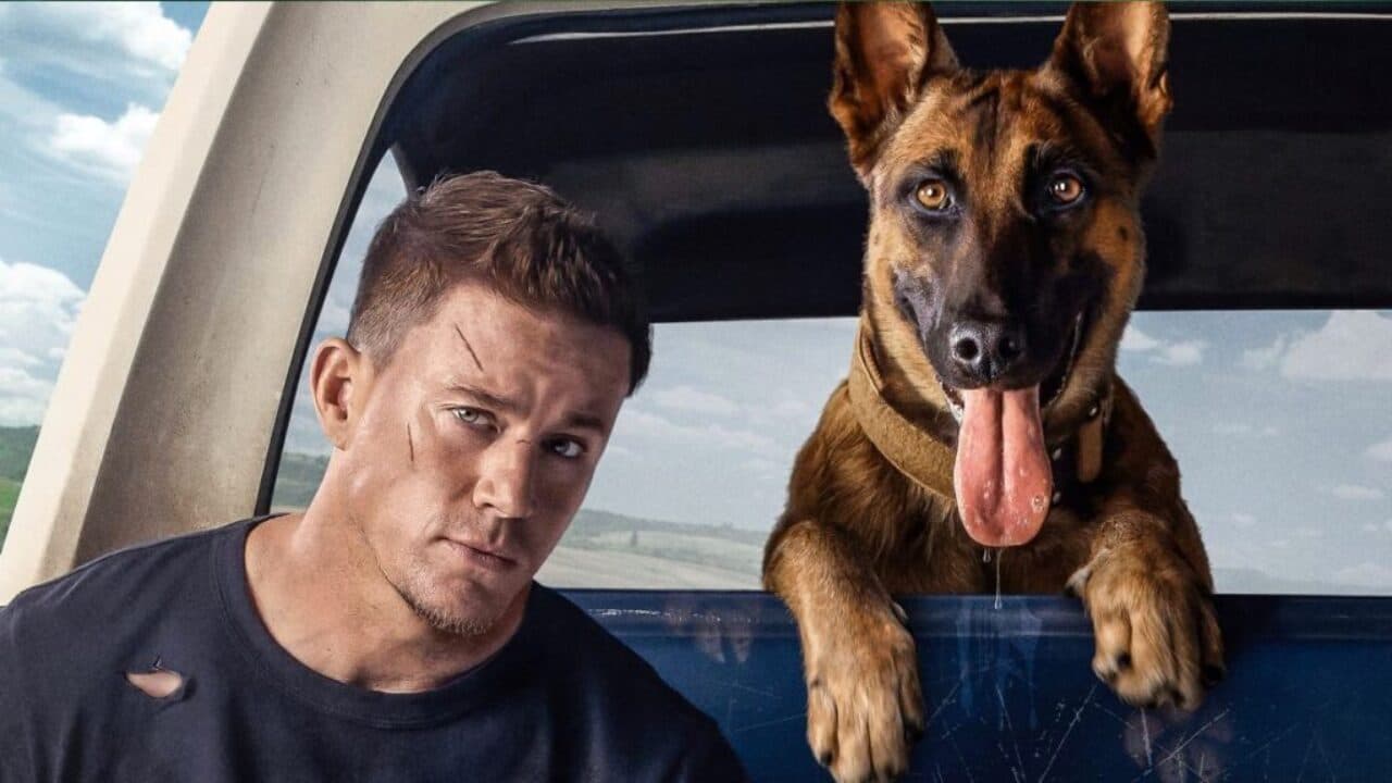 Confira a programação do cinema de 19 a 25 de maio