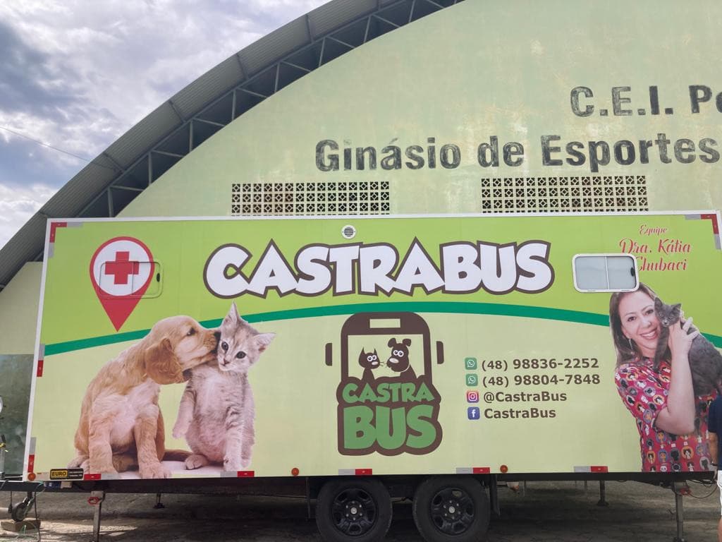 Mais de 300 animais já foram castrados em Laguna