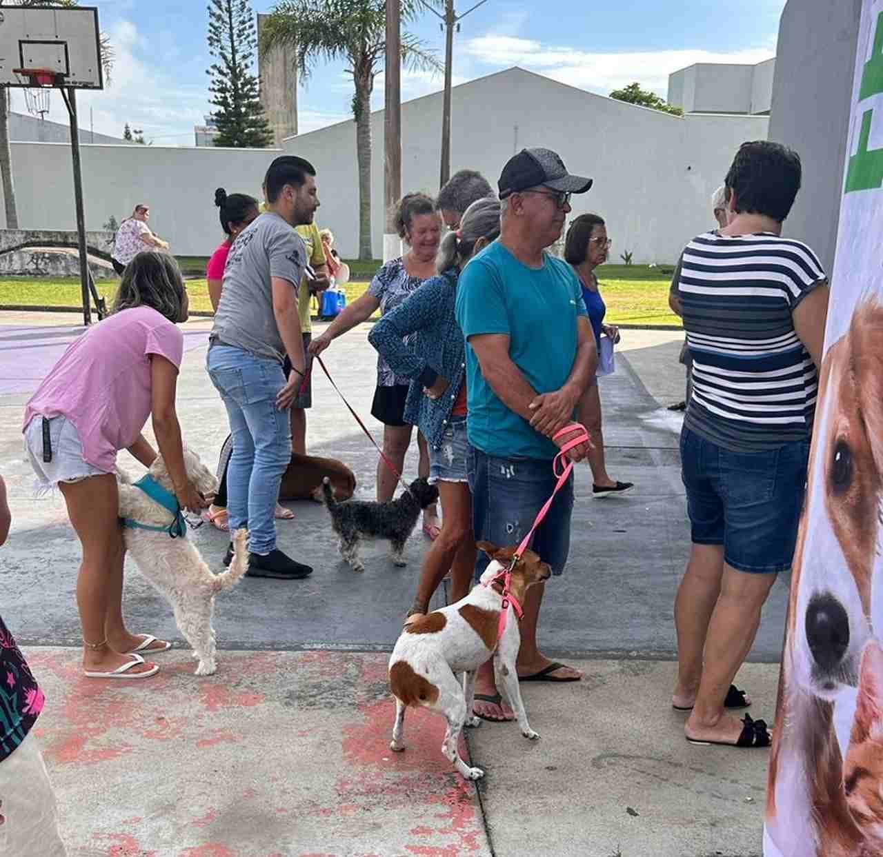 Mutirão castra 625 animais em Laguna
