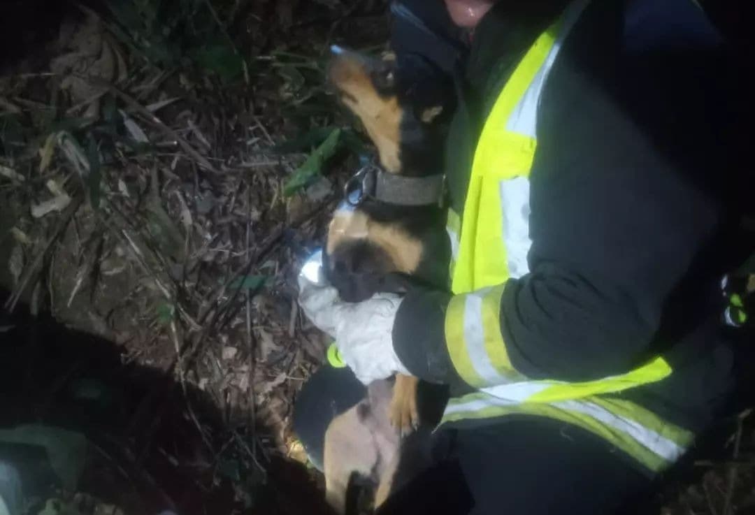 Cachorro é resgatado após cair em buraco de sete metros em Treze de Maio