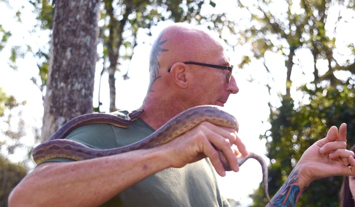 Outlet Beer 2023 terá Cãominhada, animais exóticos e feirinha de adoção