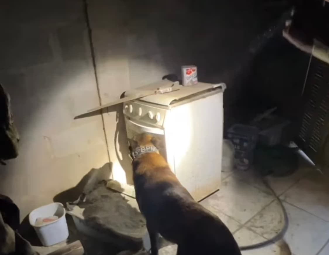 Cerca de 1 kg de maconha é encontrado pela polícia dentro de fogão