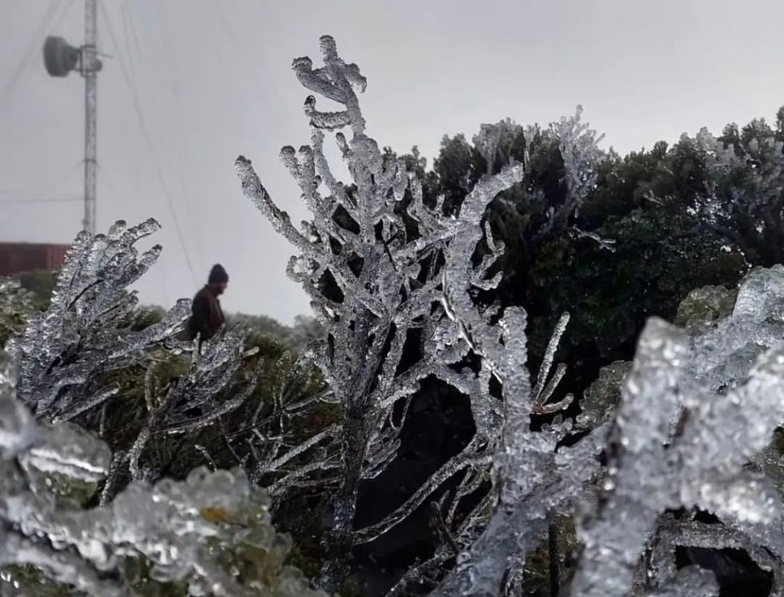Primeira neve do inverno é registrada na serra catarinense