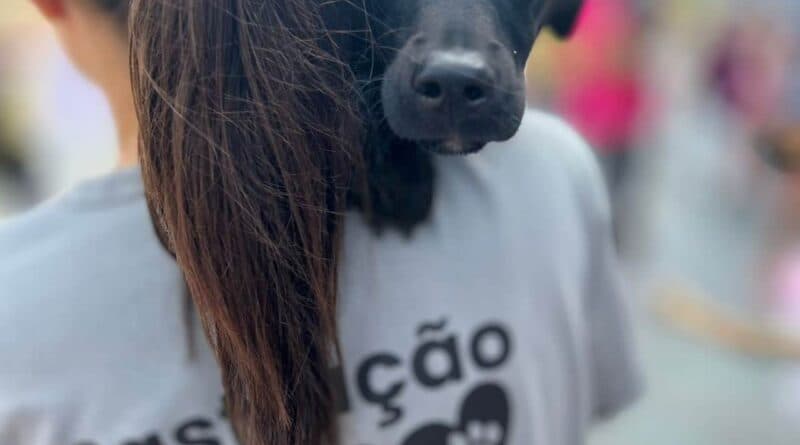 Hospital veterinário 24h é contratado em Laguna para oferecer atendimentos emergenciais