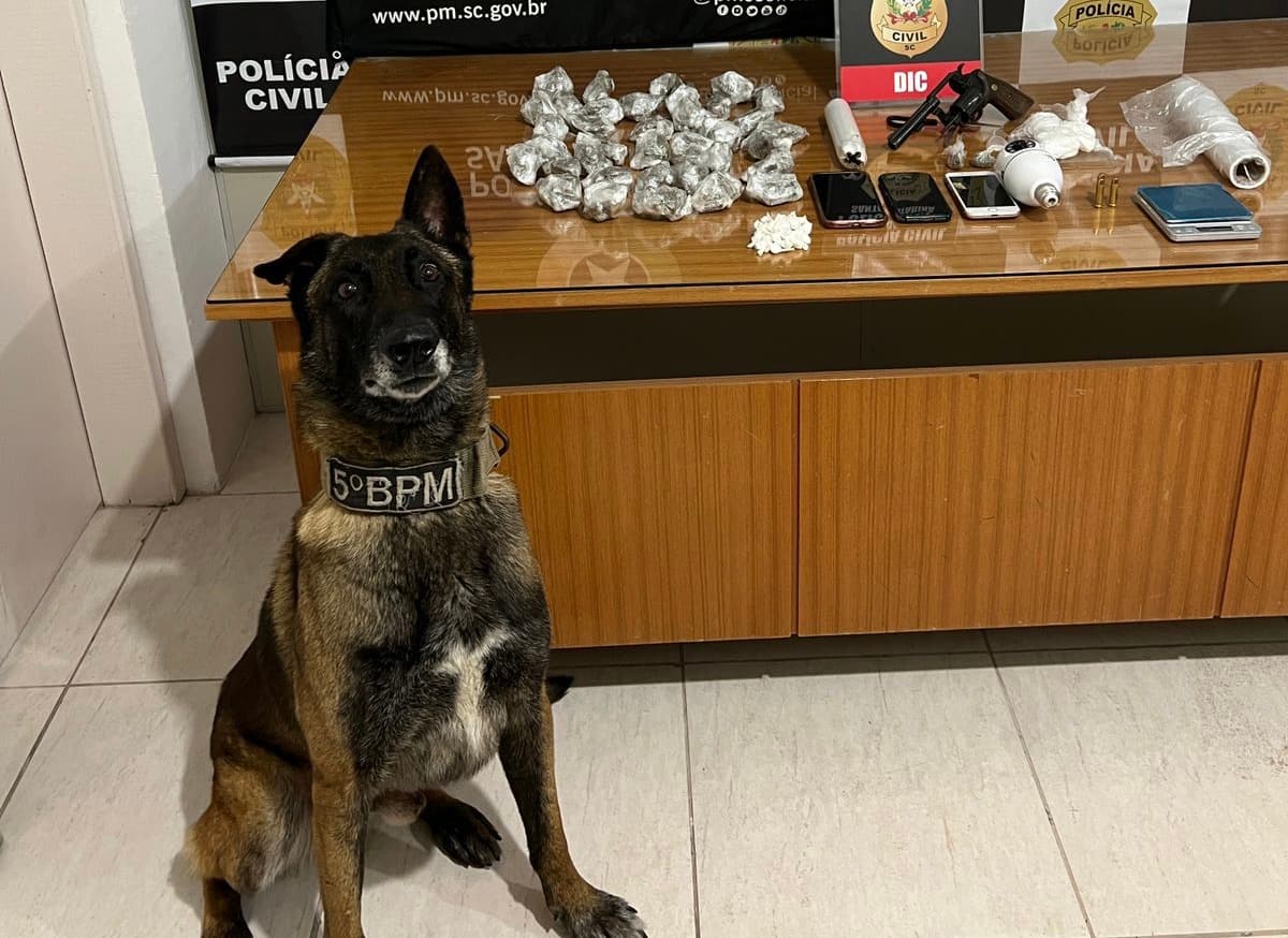 Acusado de tráfico tenta se livrar de prisão jogando drogas na privada