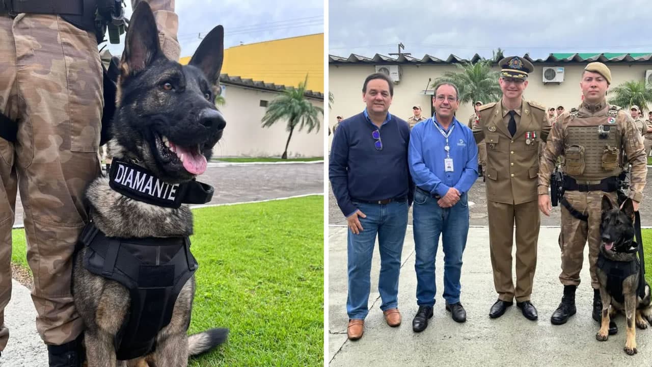 Batalhão de Polícia Militar ganha cães policiais