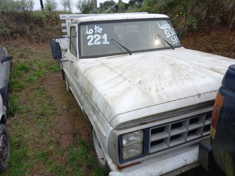 Leilão público será feito pelo Governo de SC em novembro