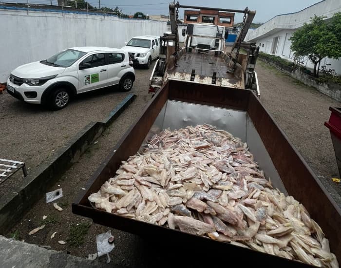 Seis toneladas de pescados são apreendidas em estabelecimento com condições precárias de higiene