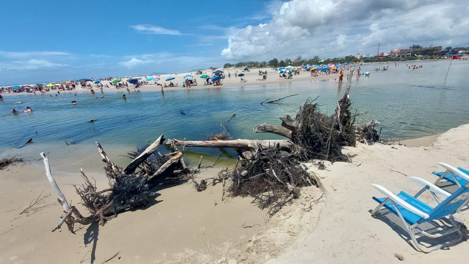 Troncos na Barra de Ibiraquera são removidos
