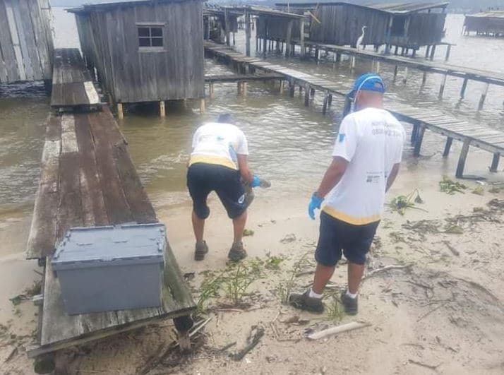Tartaruga debilitada é resgatada em lagoa de Laguna