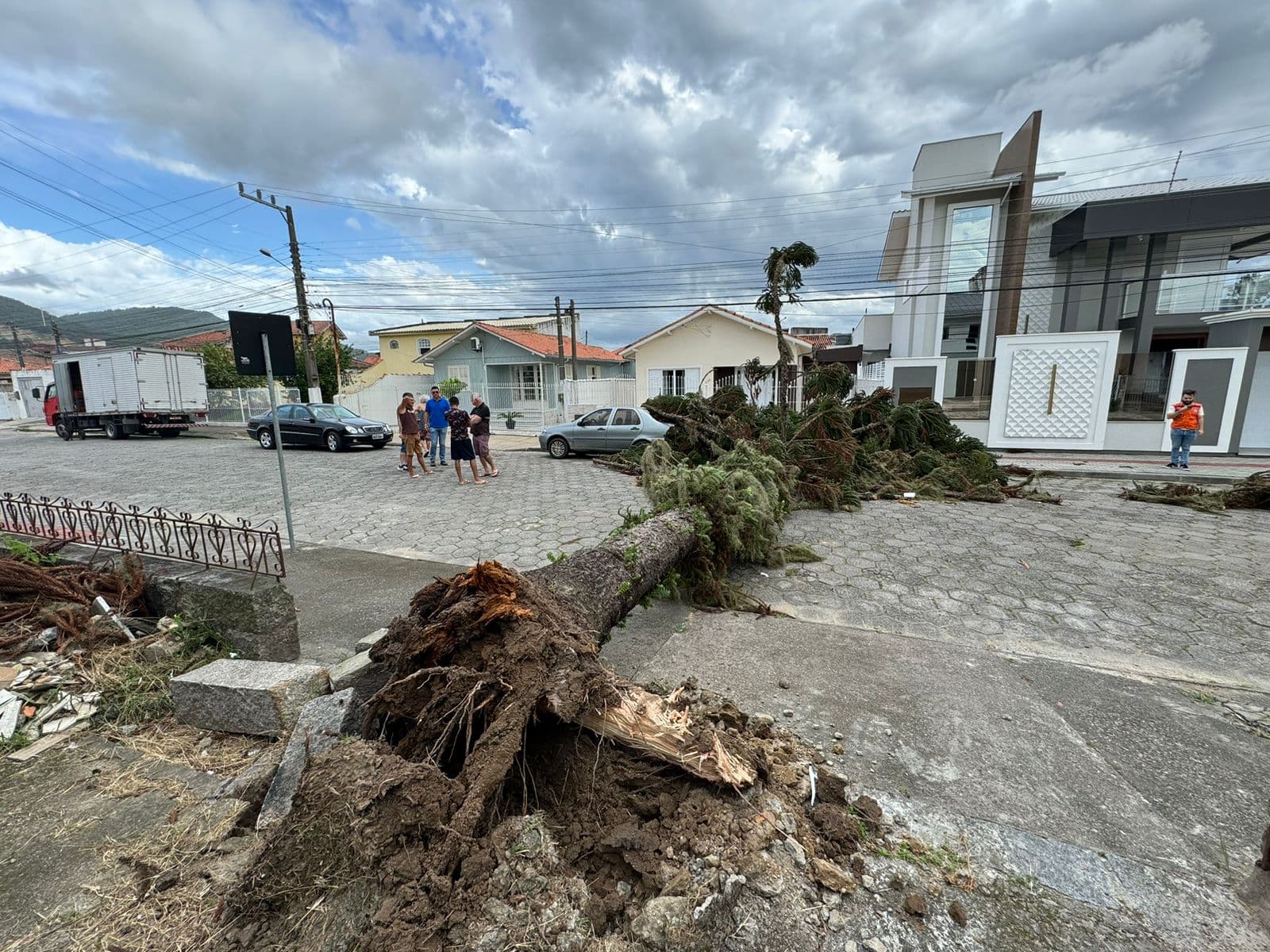Fortes ventos derrubam árvore em Tubarão; Defesa Civil está em alerta