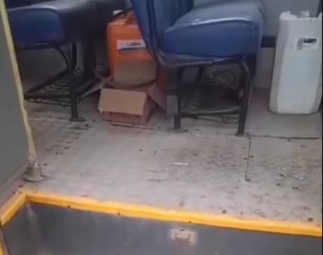 Van escolar com fezes de ratos e sem cintos de segurança é flagrada pela polícia