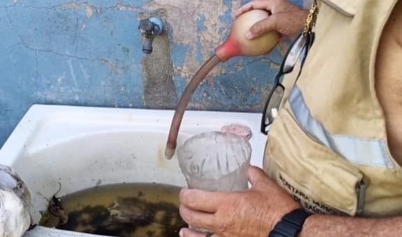 Mais de 30 focos do Aedes aegypti são registrados em Imbituba