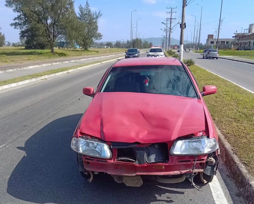 Cavalos soltos causam acidente em avenida de Laguna
