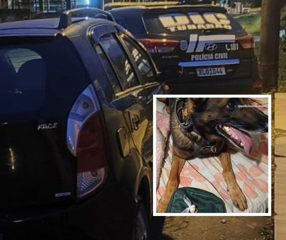 Organização criminosa acusada de sequestro, tortura, cárcere e homicídios é alvo de operação em Laguna