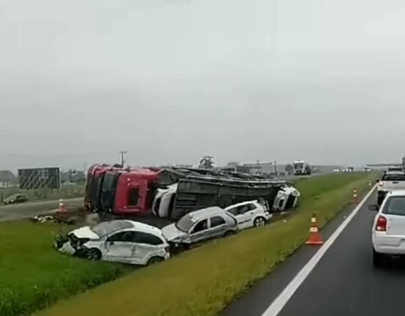 Caminhão carregado de carros tomba na BR-101