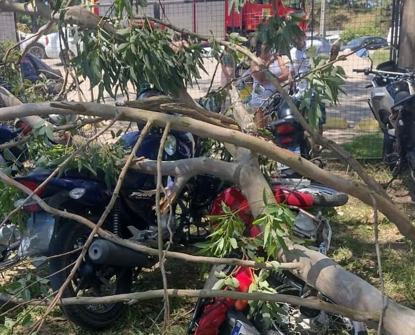 Galho de árvore cai sobre banhista e motocicletas próximo a lagoa