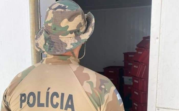 Uma tonelada de pescado é apreendida na região pela Polícia Ambiental