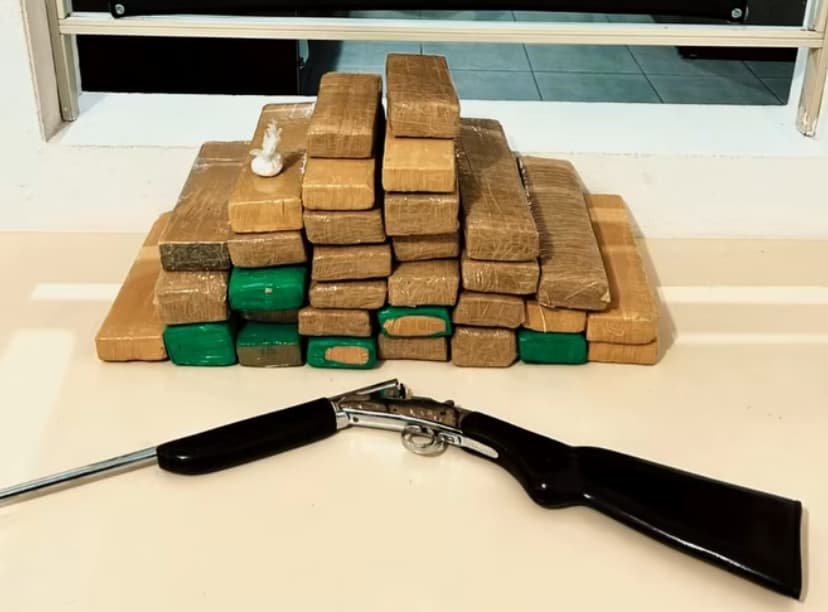 Quase 29kg de maconha são apreendidos em casa de Tubarão