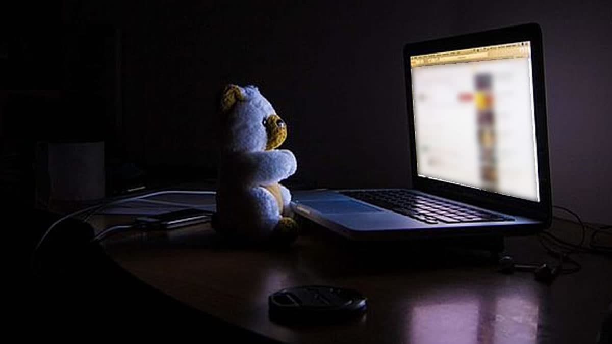 Morador da região é denunciado pelo MPSC por venda de pornografia infantil