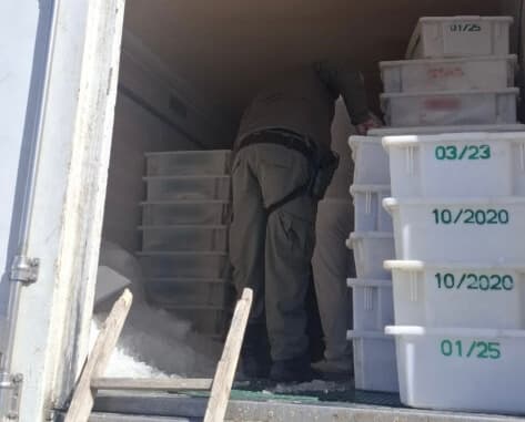 13 toneladas de pescado sem origem são apreendidas em Laguna