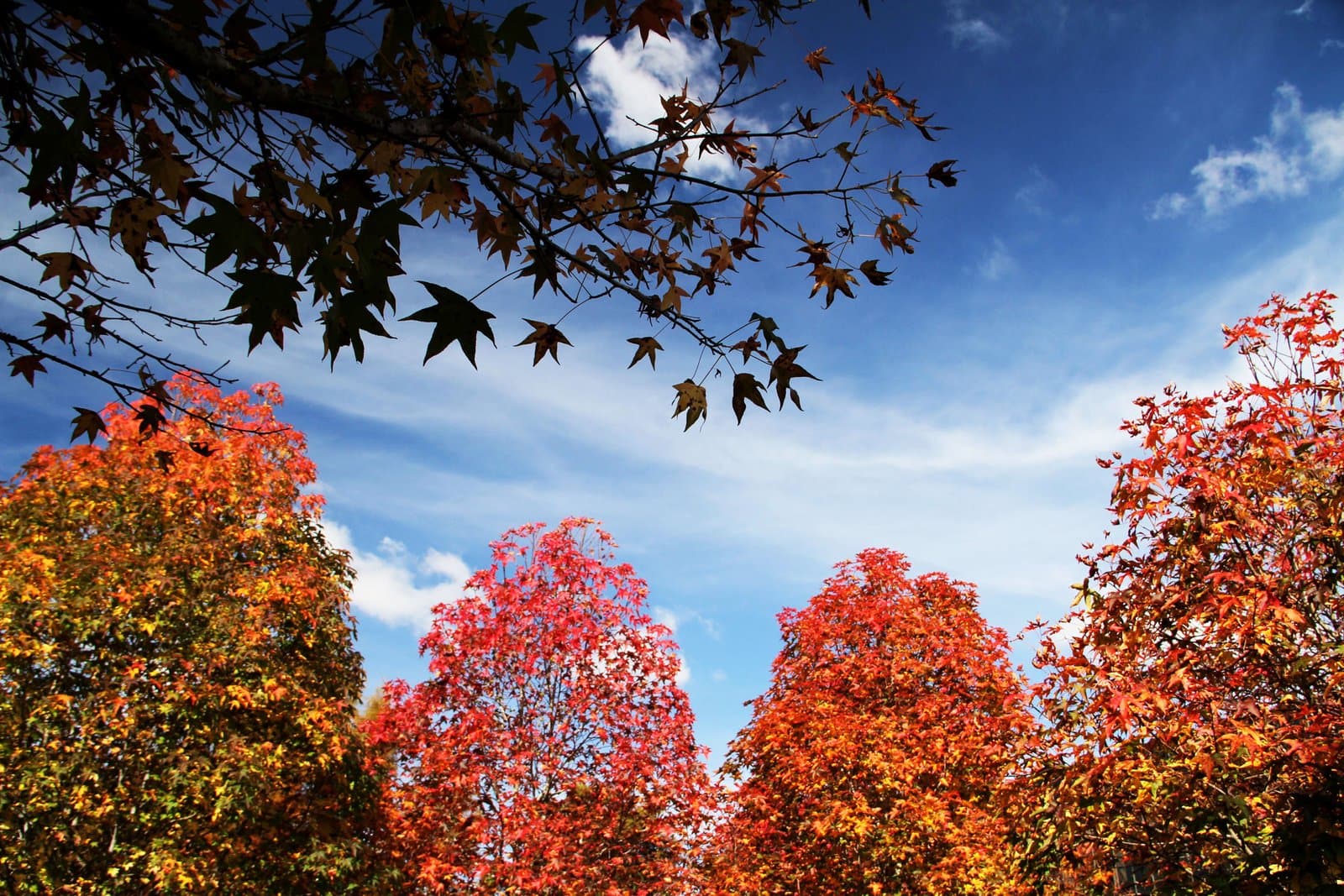 Outono começa com chuva em Tubarão