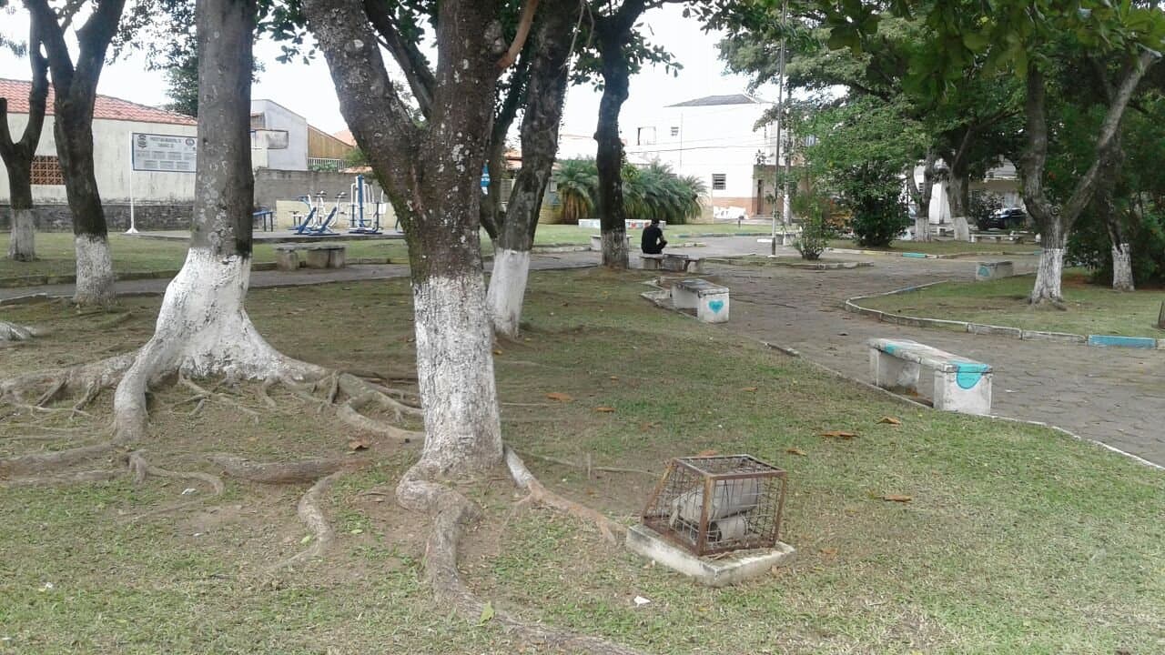 Praça da Love Story recebe serviço de roçagem e limpeza