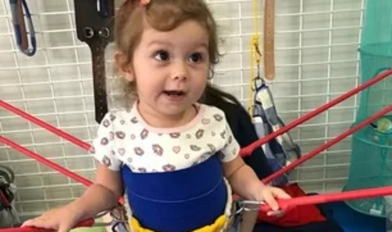 Doações para Lívia chegam a R$ 300 mil, mas campanha precisa continuar