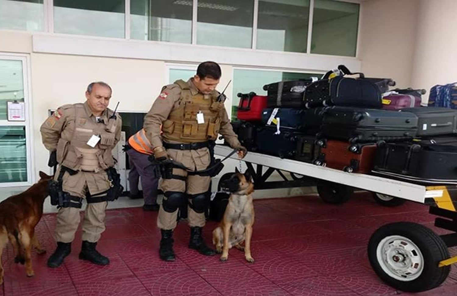 Aeroporto de Jaguaruna é o primeiro do estado a possuir base canina da PM