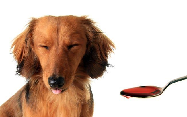 O perigo da medicação sem instrução