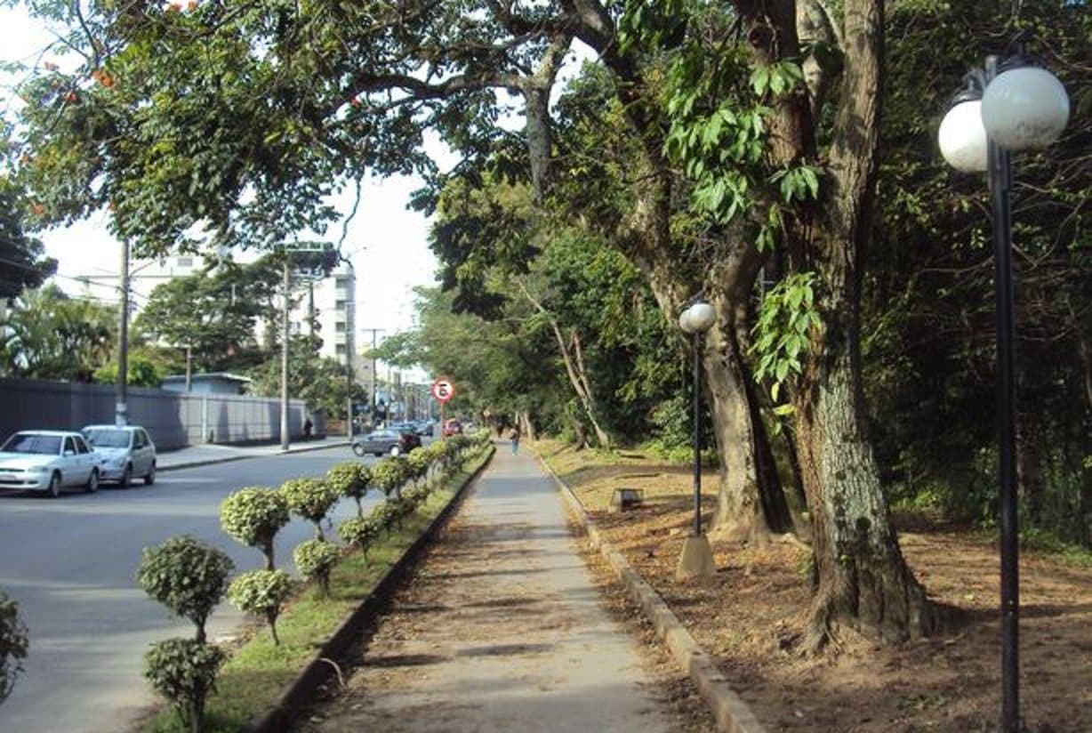 Mulher de 49 anos sofre tentativa de estupro