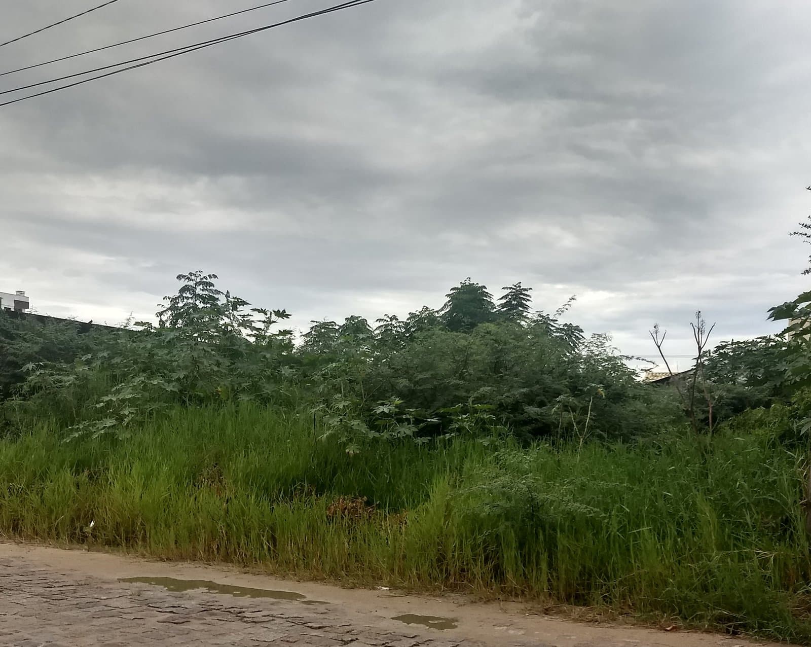 Mais de 150 proprietários de terrenos baldios foram notificados de janeiro a março