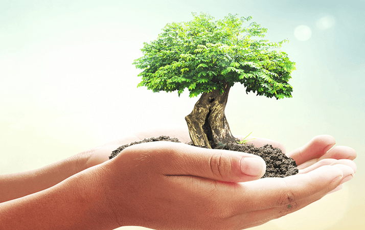 Tubarão Saneamento abre edital de incentivo para projetos socioambientais