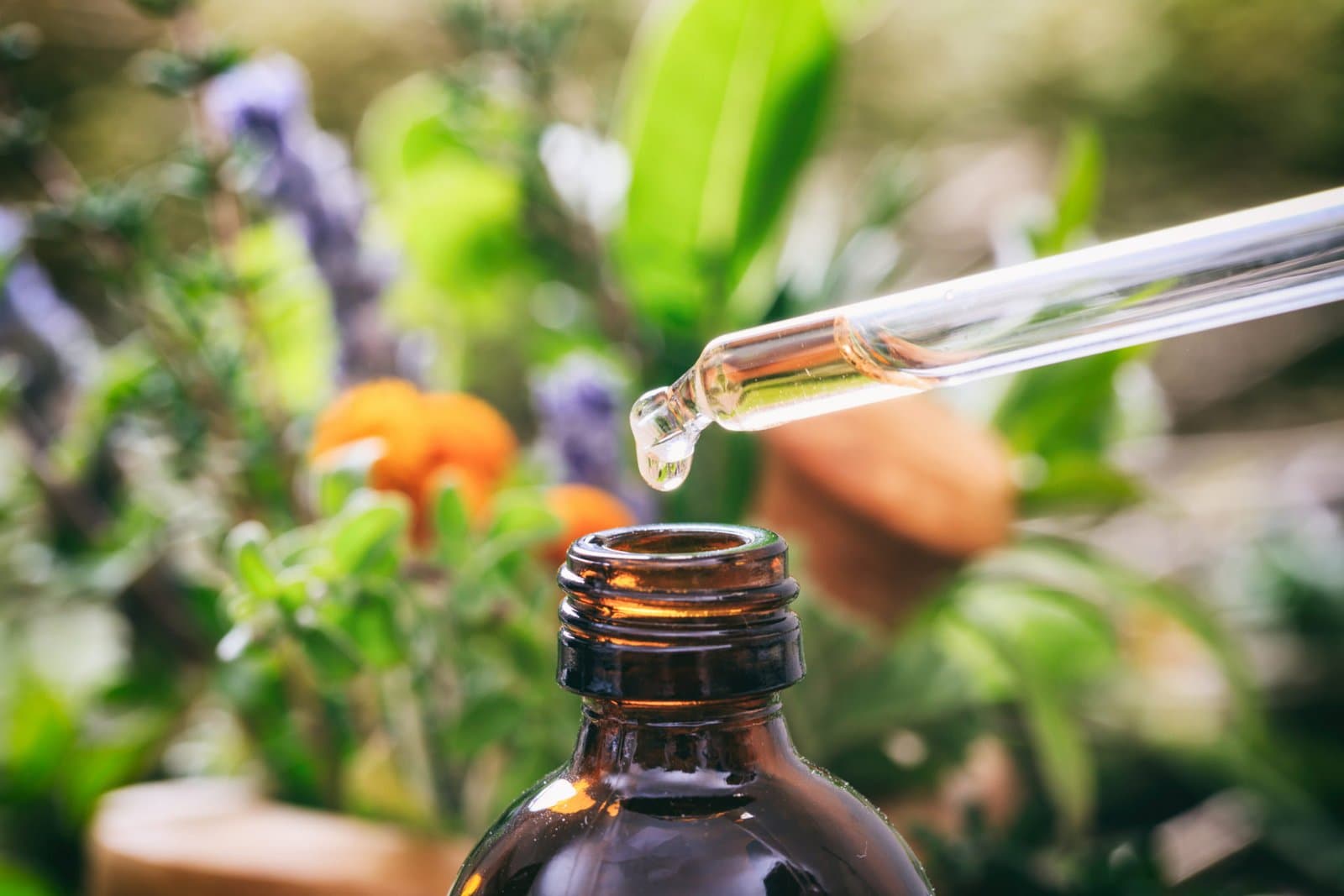 Homeopatia: um tratamento secular que volta ao debate