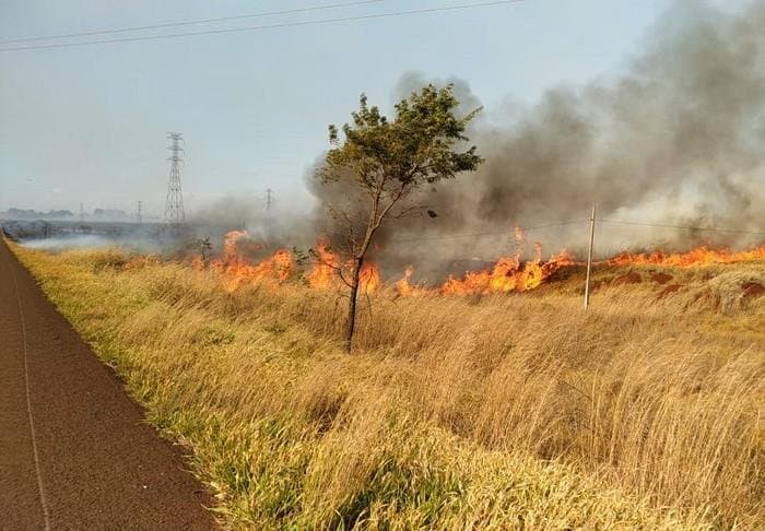 Bombeiros atenderam mais de 80 incêndios em vegetação no último mês