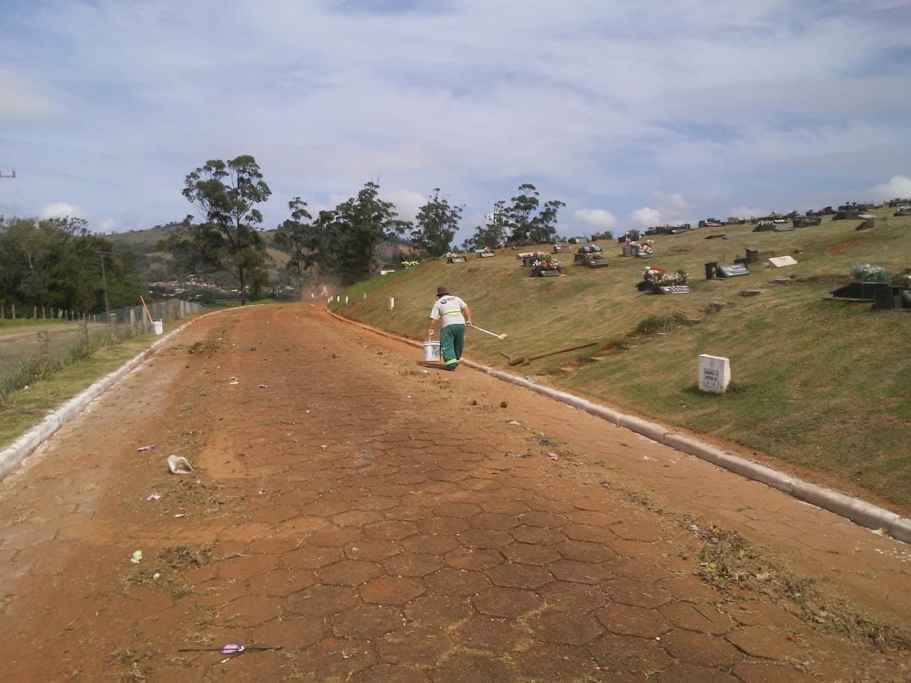Limpeza de túmulos precisa ser feita até quinta-feira (31)