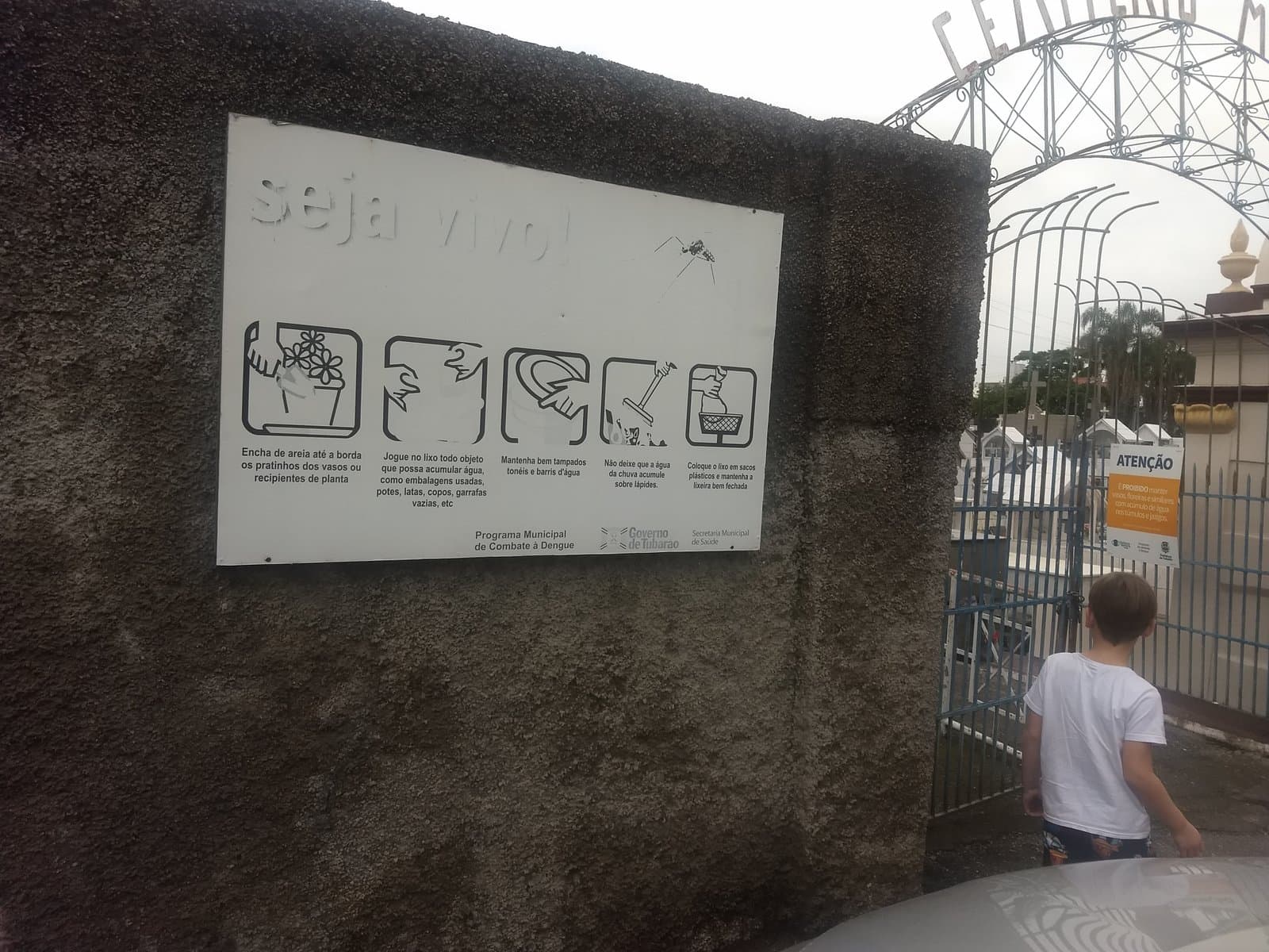 Gestos simples evitam a proliferação do Aedes aegypti nos cemitérios