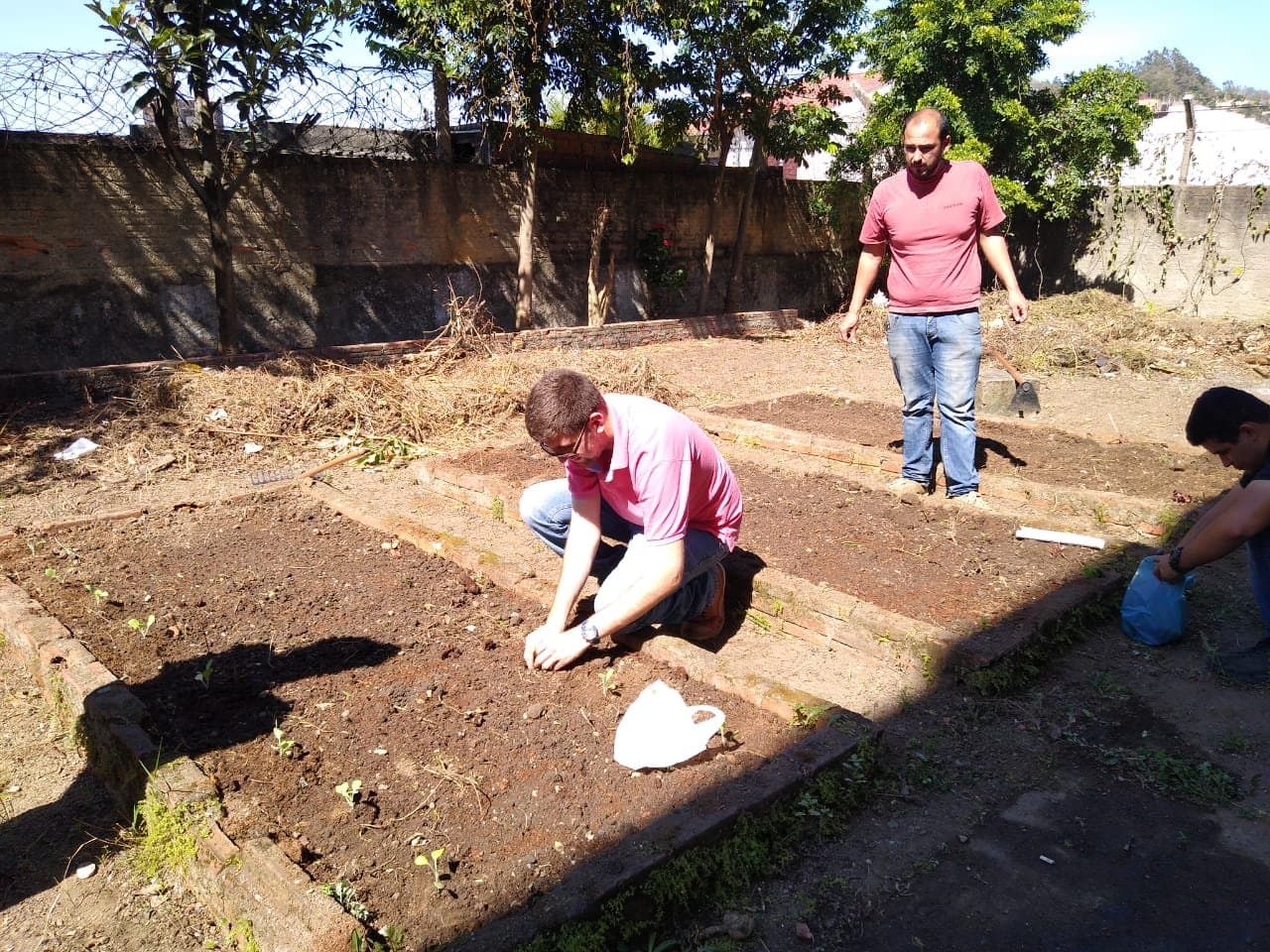 Revitalização de horta escolar promove educação ambiental