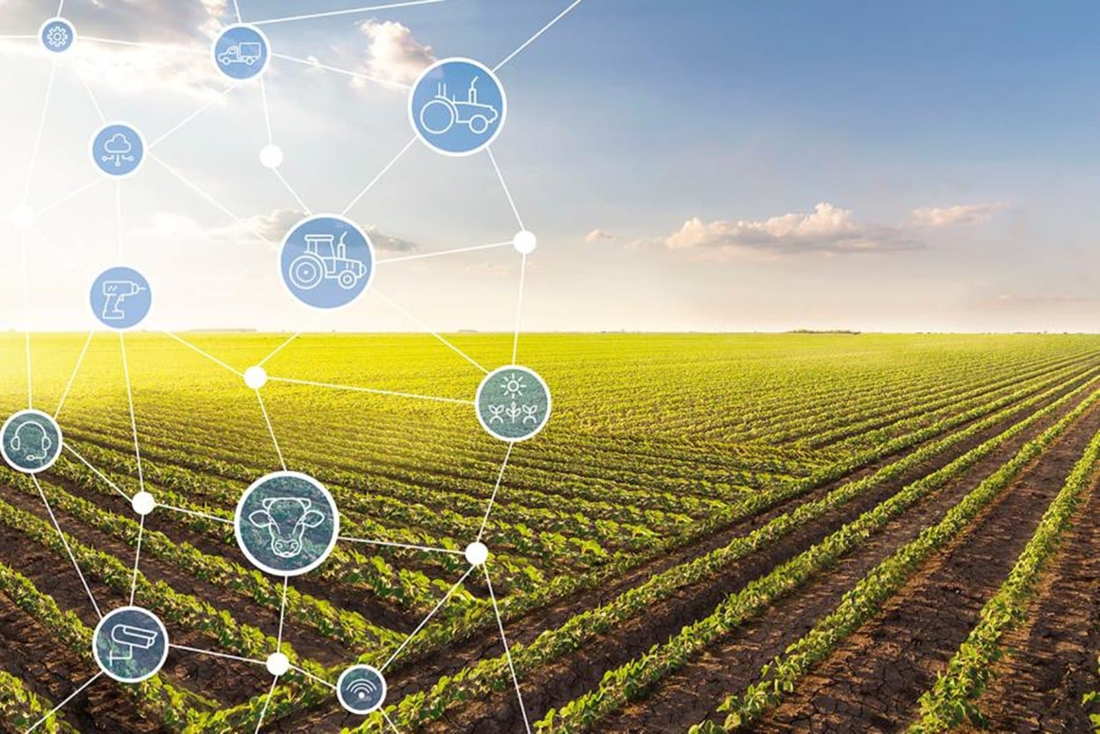 Band muda nome e define lançamento de novo canal de agronegócios