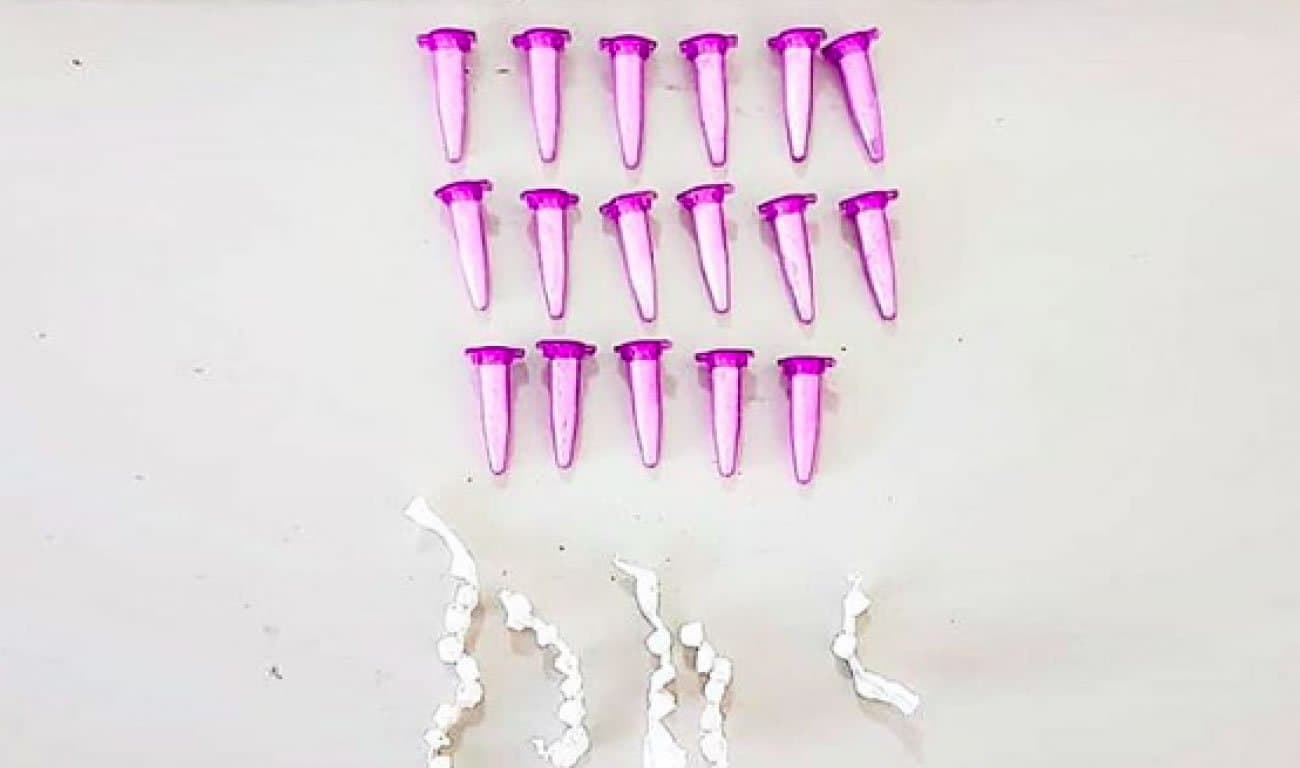 Jovens de 17 e 18 anos são detidos por tráfico de drogas