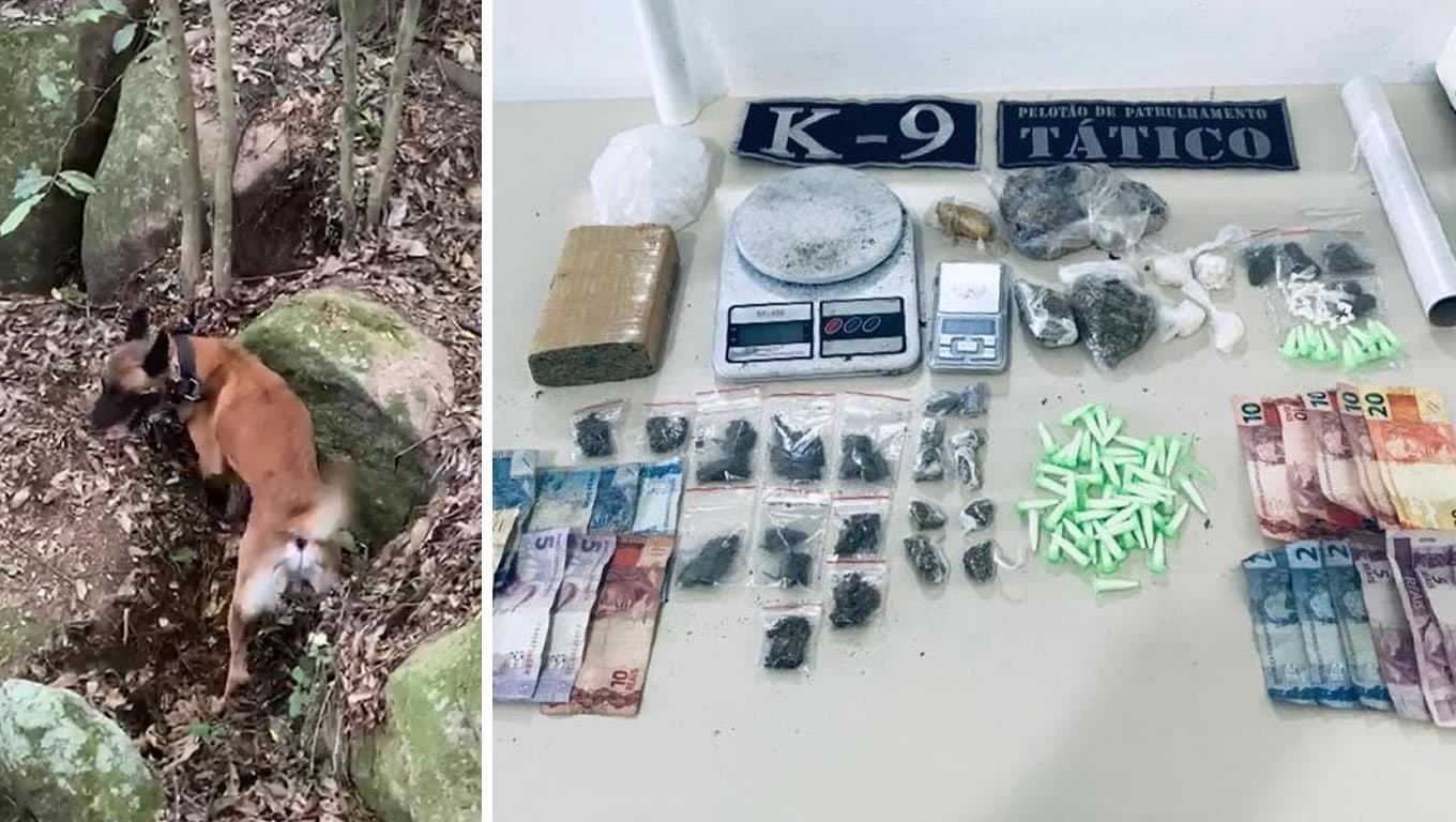 Polícia flagra homem traficando e cão farejador encontra droga enterrada, no Morro do Bem Bom