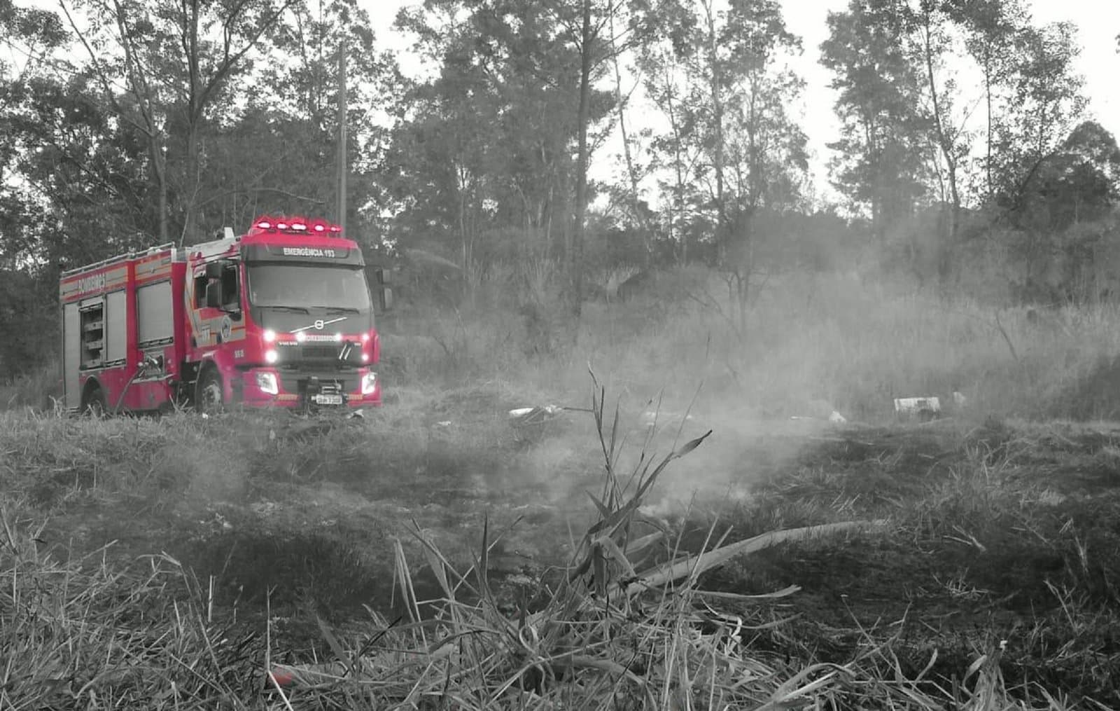 Bombeiros levam mais de cinco horas para combater incêndio em vegetação