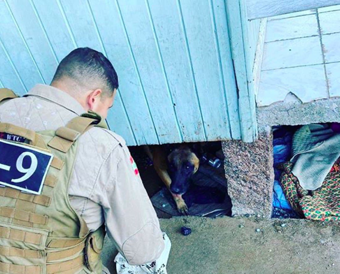 Com auxílio de cão farejador, polícia apreende 414 pedras de crack