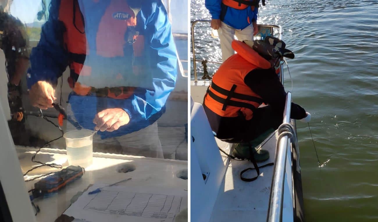 Cunha salina do Rio Tubarão diminui